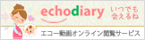 EchoDiary